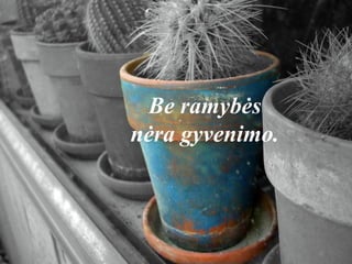 Be ramybės
nėra gyvenimo.
 