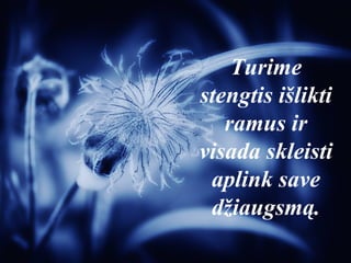 Turime
stengtis išlikti
ramus ir
visada skleisti
aplink save
džiaugsmą.
 