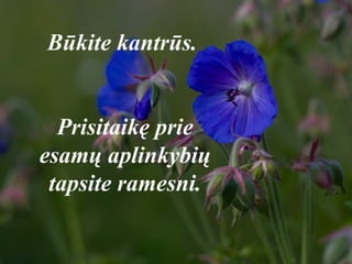 Būkite kantrūs.
Prisitaikę prie
esamų aplinkybių
tapsite ramesni.
 