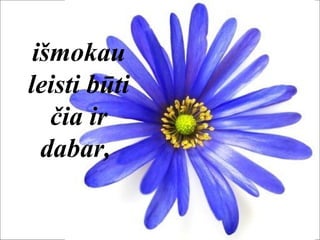 išmokau
leisti būti
čia ir
dabar,
 