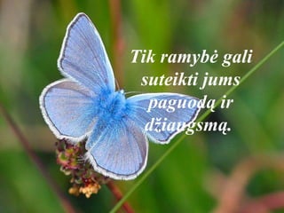 Tik ramybė gali
suteikti jums
paguodą ir
džiaugsmą.
 