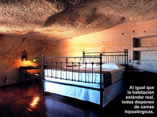 Al igual que la habitación estándar real, todas disponen de camas hipoalérgicas. 