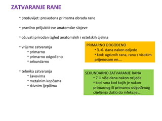 Rana | PPT