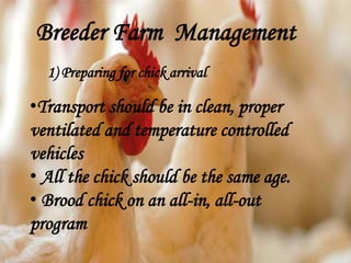 Breeder Farm Management
1) Preparing for chick arrival
•Transport should be in clean, proper
ventilated and temperature controlled
vehicles
• All the chick should be the same age.
• Brood chick on an all-in, all-out
program
 