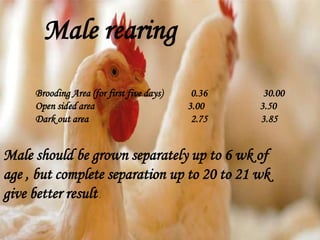 Male rearing
Brooding Area (for first five days) 0.36 30.00
Open sided area 3.00 3.50
Dark out area 2.75 3.85
Male should be grown separately up to 6 wk of
age , but complete separation up to 20 to 21 wk
give better result.
 