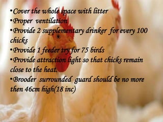 •Cover the whole space with litter
•Proper ventilation
•Provide 2 supplementary drinker for every 100
chicks
•Provide 1 feeder try for 75 birds
•Provide attraction light so that chicks remain
close to the heat.
•Brooder surrounded guard should be no more
then 46cm high(18 inc)
 