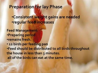 Preparation for lay Phase
•Consistent weight gains are needed
•regular feed increases
Feed Management
•Preparing period
•remains fresh.
• 12 birds per feeding pan
•Feed should be distributed to all birds throughout
the house in less than 3 minutes.
all of the birds can eat at the same time.
 