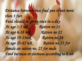 Distance between two feed pen is not more
then 3 feet
Feed should be given once in a day
At age 1-5 wk Ration no 21
At age 6-18 wk Ration no 22
At age 19-23wk Ration no 24
At age 23-65 wk Ration no 23 for
female an ration no. 25 for male
Feed increase or decrease according to b.wt
 