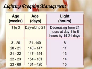 Lighting Program Management
 