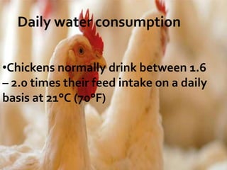 Daily water consumption
•Chickens normally drink between 1.6
– 2.0 times their feed intake on a daily
basis at 21°C (70°F)
 