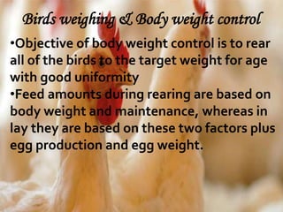 Birds weighing & Body weight control
•Objective of body weight control is to rear
all of the birds to the target weight for age
with good uniformity
•Feed amounts during rearing are based on
body weight and maintenance, whereas in
lay they are based on these two factors plus
egg production and egg weight.
 