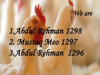 We are
1.Abdul Rehman 1298
2. Mustaq Meo 1297
3.Abdul Rehman 1296
 