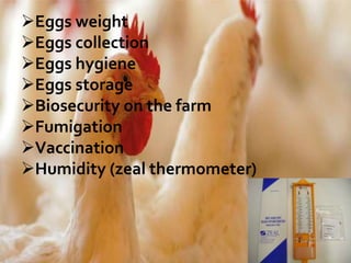 Eggs weight
Eggs collection
Eggs hygiene
Eggs storage
Biosecurity on the farm
Fumigation
Vaccination
Humidity (zeal thermometer)
 