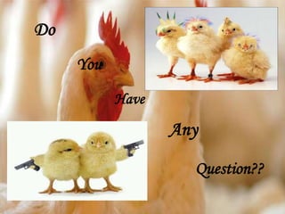 Do
You
Have
Any
Question??
 