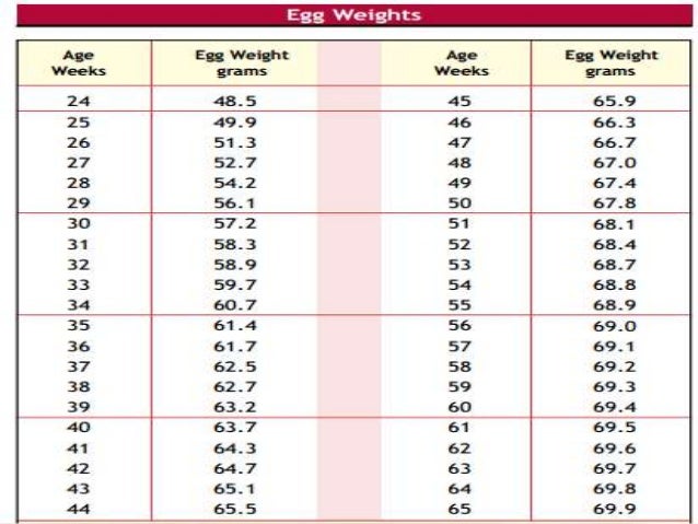 Poultry Water Consumption Chart