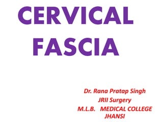 CERVICAL
FASCIA
Dr. Rana Pratap Singh
JRII Surgery
M.L.B. MEDICAL COLLEGE
JHANSI
 