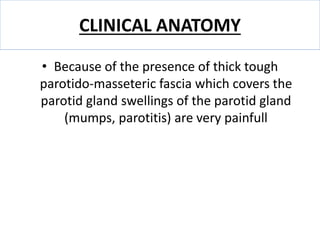 CLINICAL ANATOMY
• Because of the presence of thick tough
parotido-masseteric fascia which covers the
parotid gland swellings of the parotid gland
(mumps, parotitis) are very painfull
 