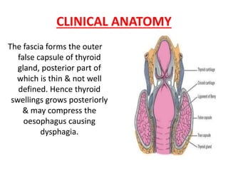 CLINICAL ANATOMY
The fascia forms the outer
false capsule of thyroid
gland, posterior part of
which is thin & not well
defined. Hence thyroid
swellings grows posteriorly
& may compress the
oesophagus causing
dysphagia.
 