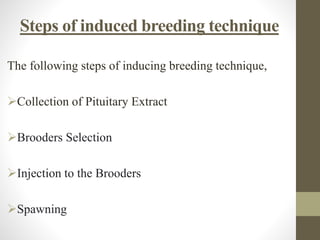 Induce breeding of carps | PPTX