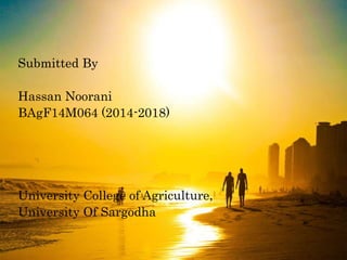 Submitted By
Hassan Noorani
BAgF14M064 (2014-2018)
University College of Agriculture,
University Of Sargodha
 