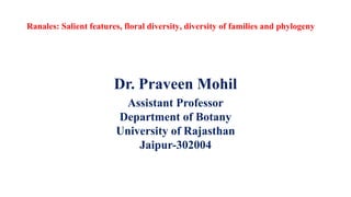 Ranales: Salient features, floral diversity, diversity of families and phylogeny
Dr. Praveen Mohil
Assistant Professor
Department of Botany
University of Rajasthan
Jaipur-302004
 