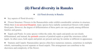 (ii) Floral diversity in Ranales
● (ii) Floral diversity in Ranales
● key aspects of floral diversity -
● Flower Structure: Flowers in the Ranunculales order exhibit considerable variation in structure.
While there is no universal blueprint, many species have radially symmetrical flowers with simple
floral parts. However, the degree of differentiation of these parts can vary greatly among different
families and genera.
● Sepals and Petals: In some species within the order, the sepals and petals are not clearly
differentiated, and instead, the perianth consists of petaloid sepals or petal-like structures called
tepals. In other cases, both sepals and petals are present and may be similar or different in appearance.
● Stamens and Carpels: Ranunculales species often have numerous stamens, sometimes in multiple
whorls, surrounding several separate or fused carpels. This arrangement can contribute to the
showiness and complexity of the flower.
 