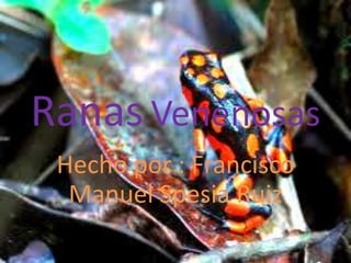 Ranas Venenosas
Hecho por : Francisco
Manuel Spesia Ruiz
 