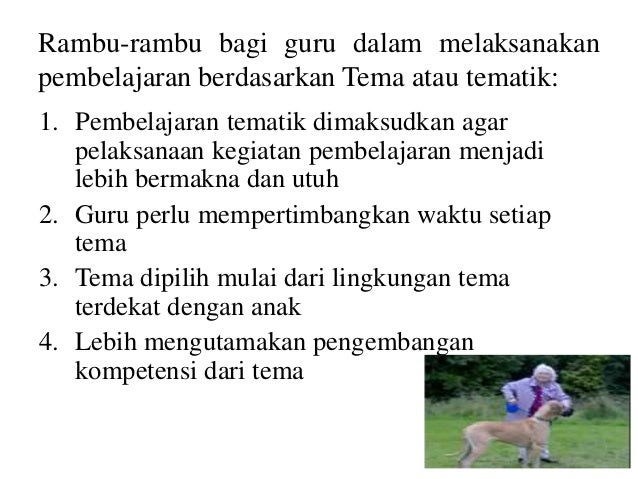 Model Pembelajaran sisten Jaring-Jaring laba-laba