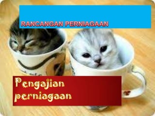 Rancangan perniagaan pengajian perniagaan