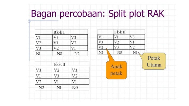 RANCANGAN SPLIT PLOT.pptx