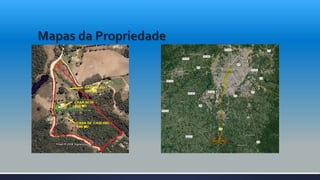 Mapas da Propriedade
 