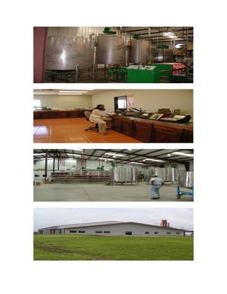 Rancho aloe y first aloe1