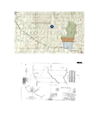 Rancho aloe y first aloe1