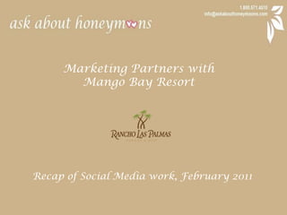 Marketing Partners with  Mango Bay Resort Recap of Social Media work, February 2011 