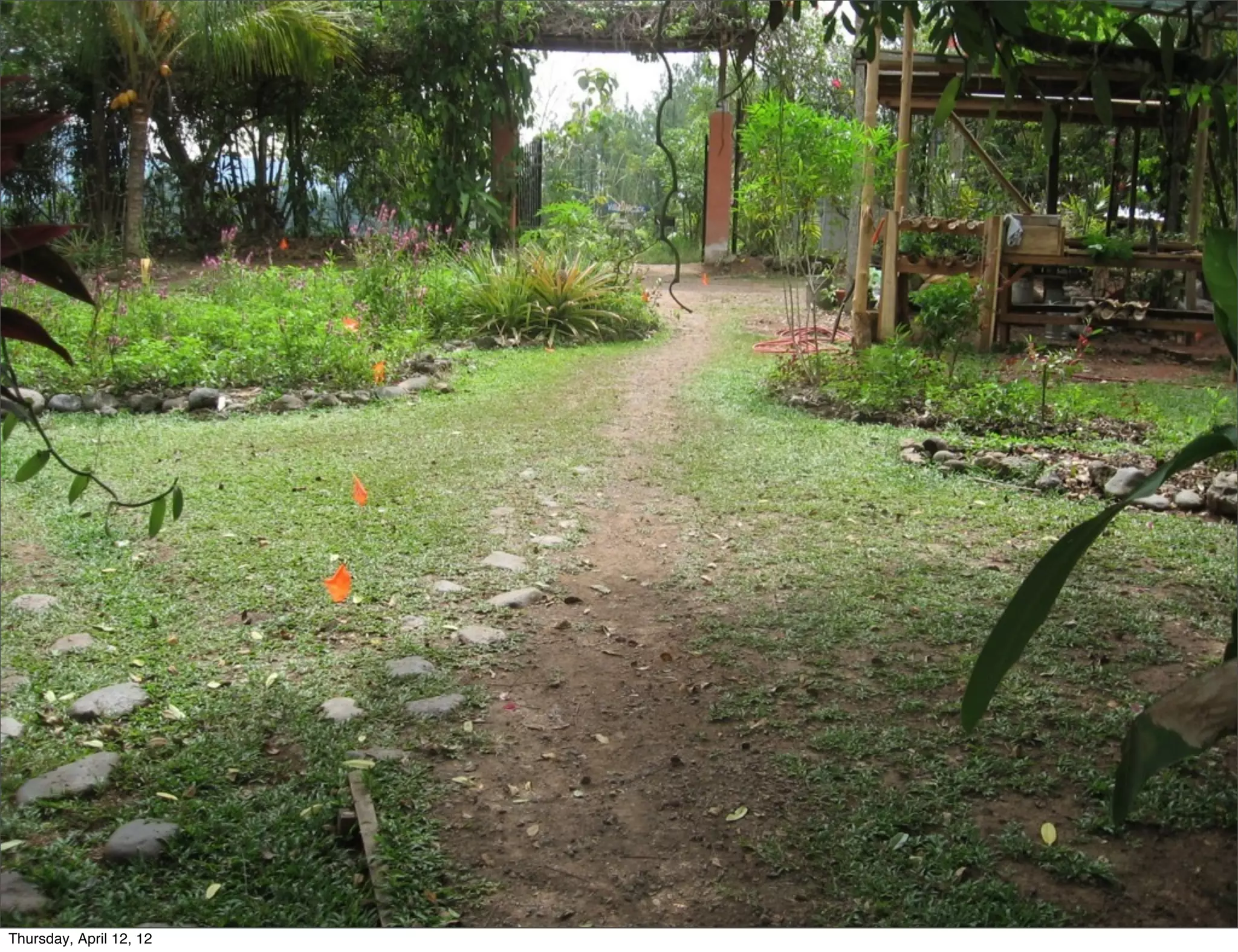 Slide 15