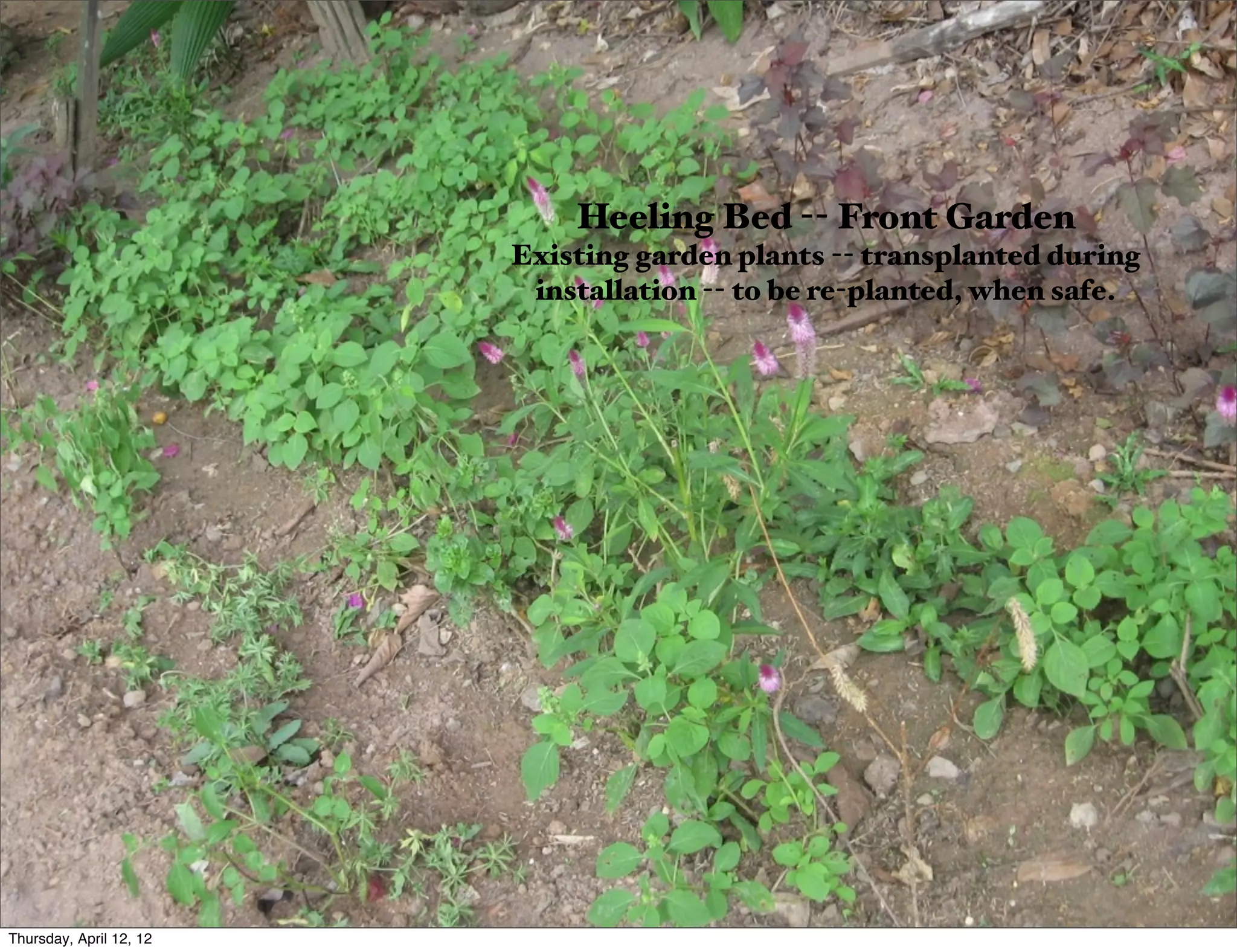 Slide 23