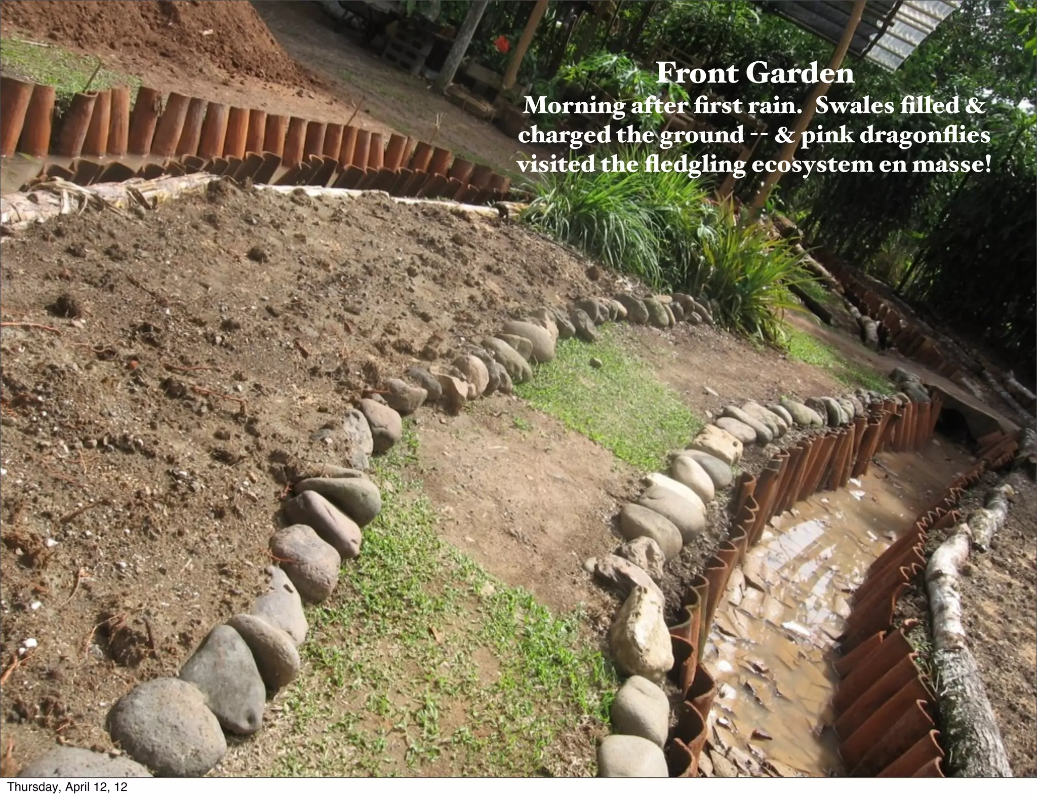 Slide 24