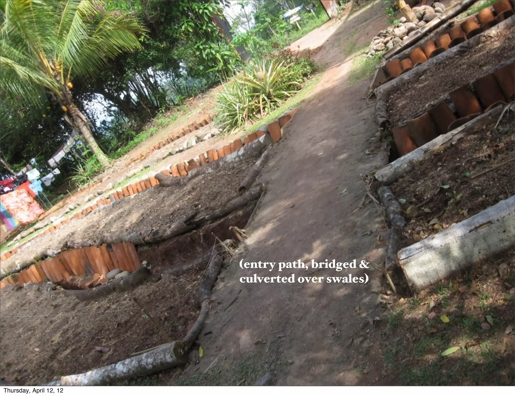 Slide 29