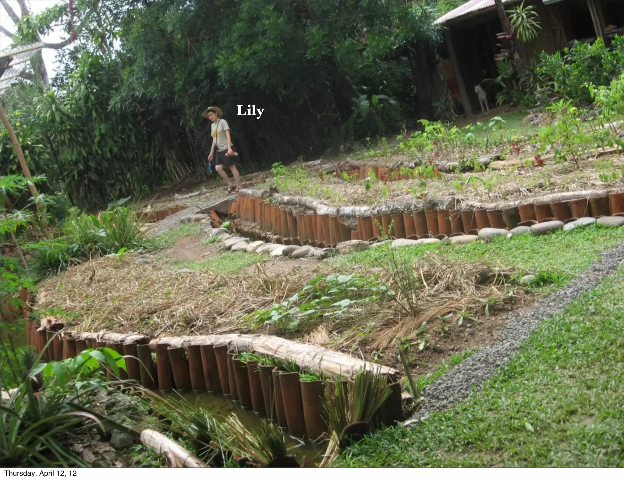 Slide 32
