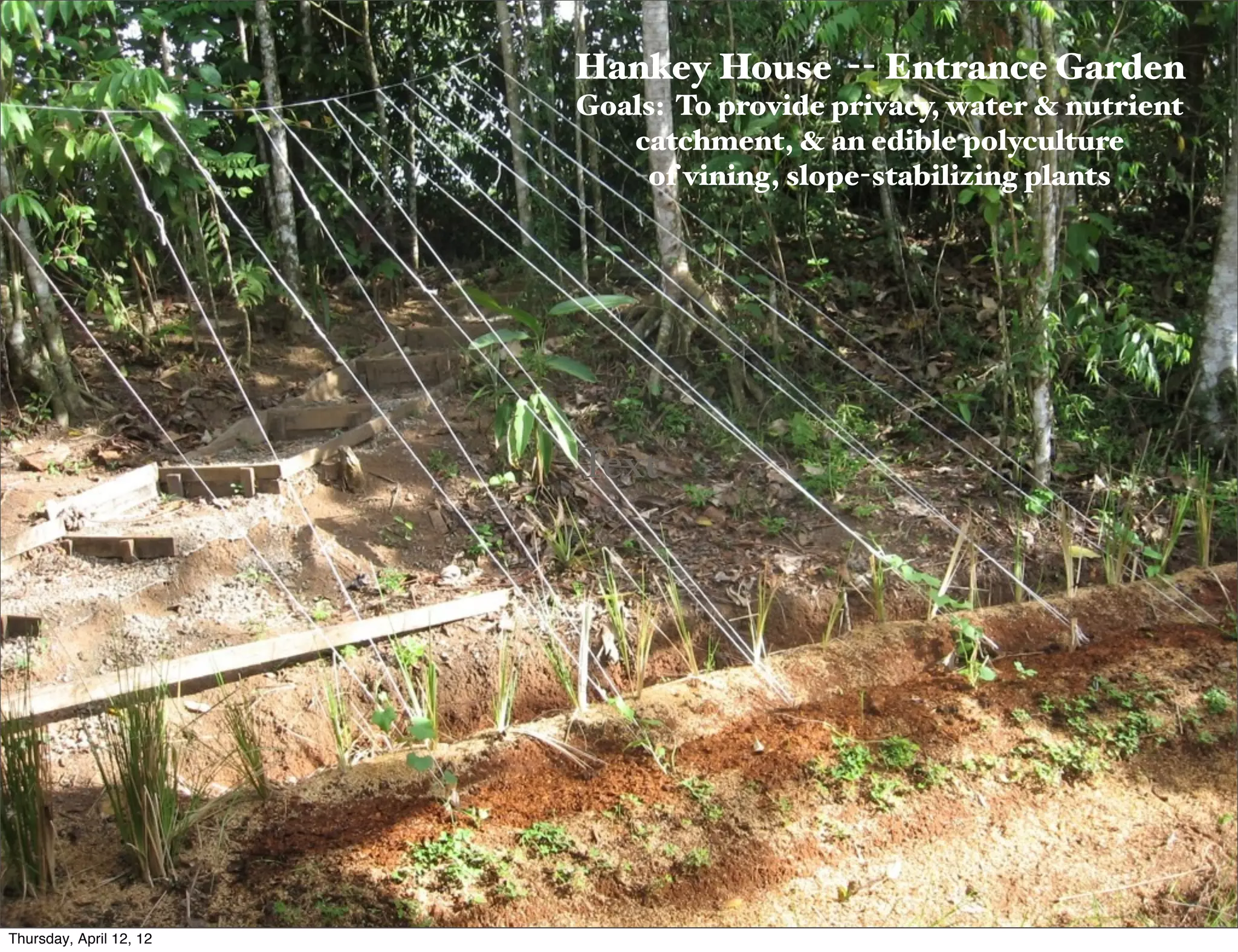 Slide 4