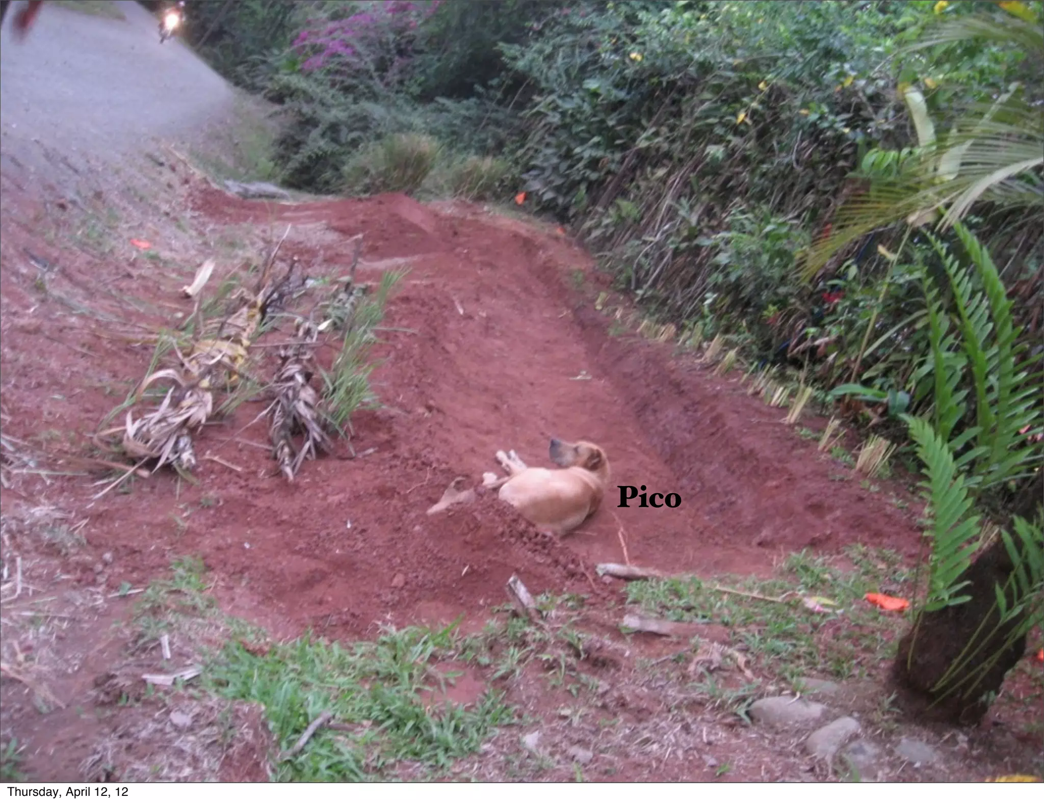 Slide 52