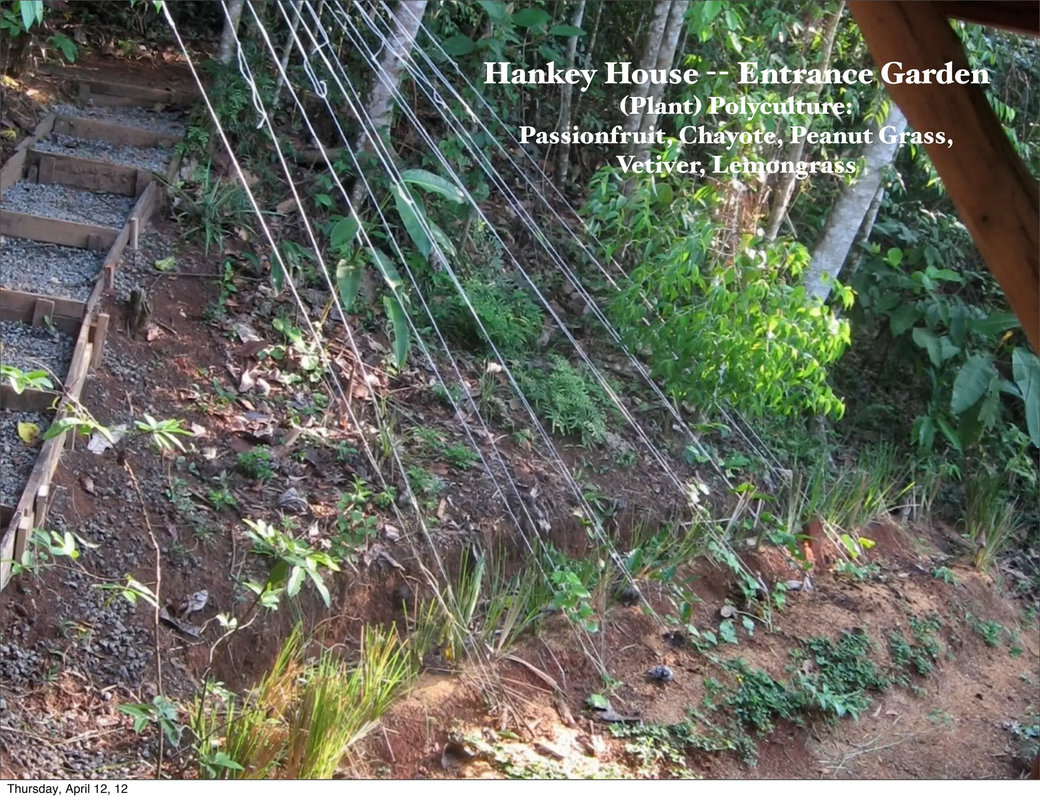 Slide 6