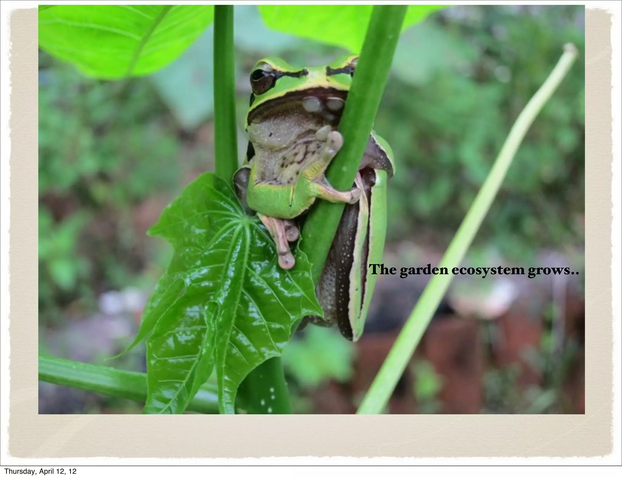 Slide 61