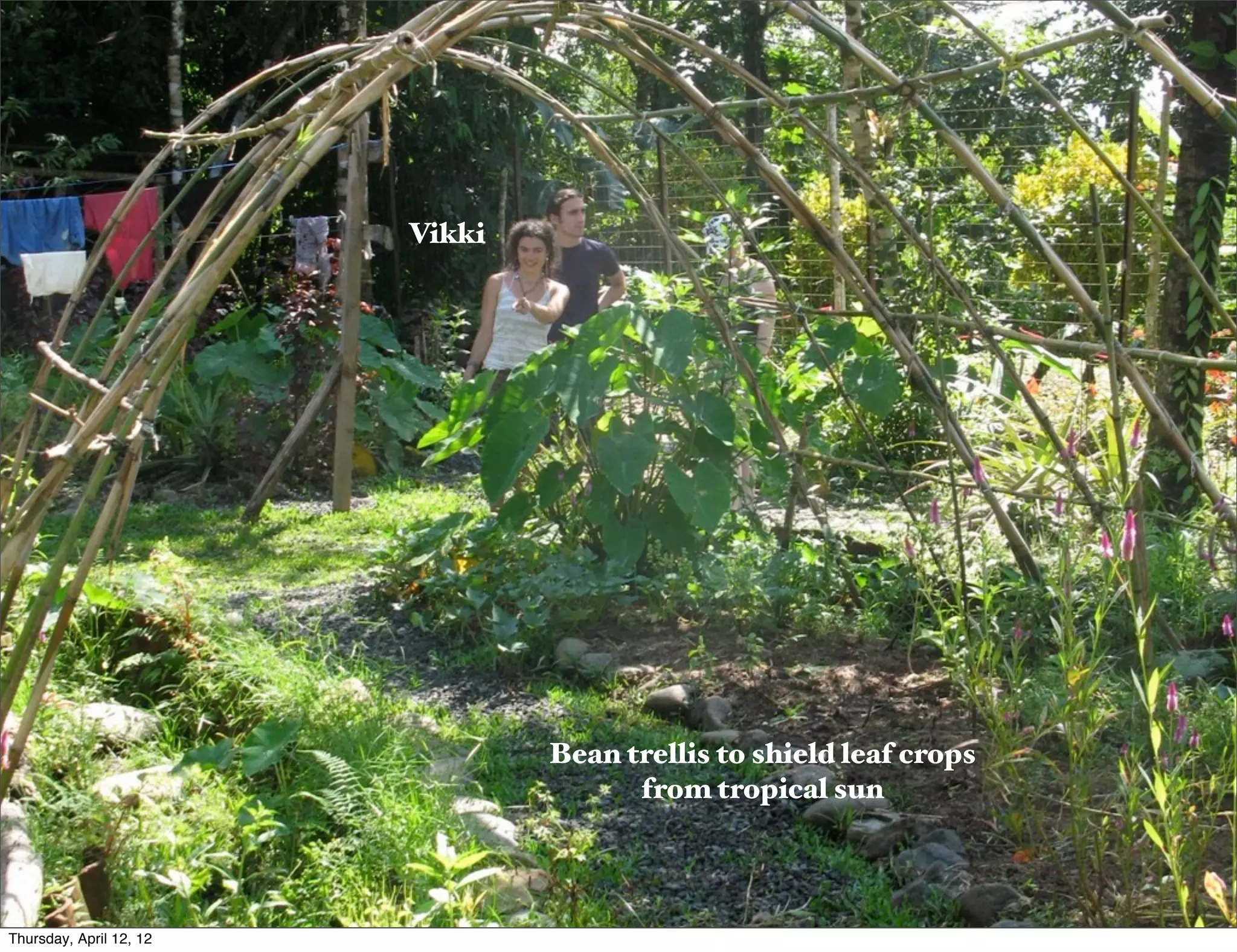 Slide 64