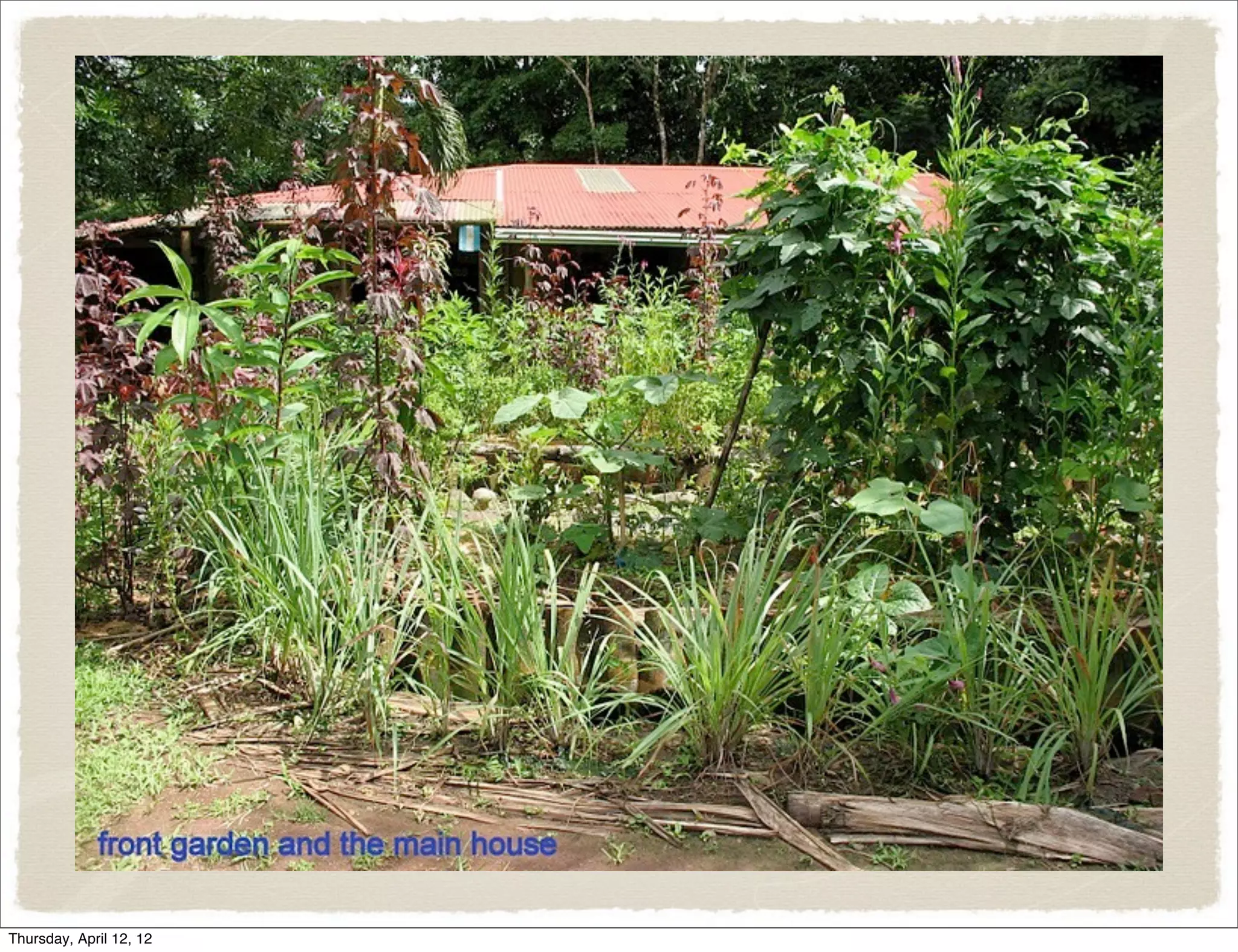 Slide 65