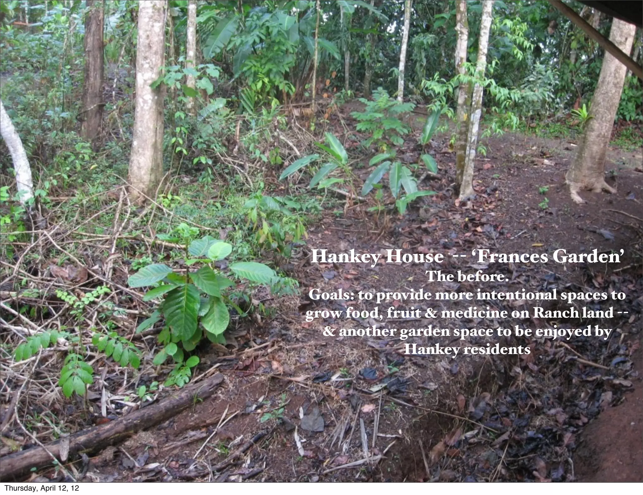 Slide 7