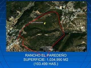 RANCHO EL PAREDEÑO
SUPERFICIE: 1,034,990 M2
(103.499 HAS.)
 
