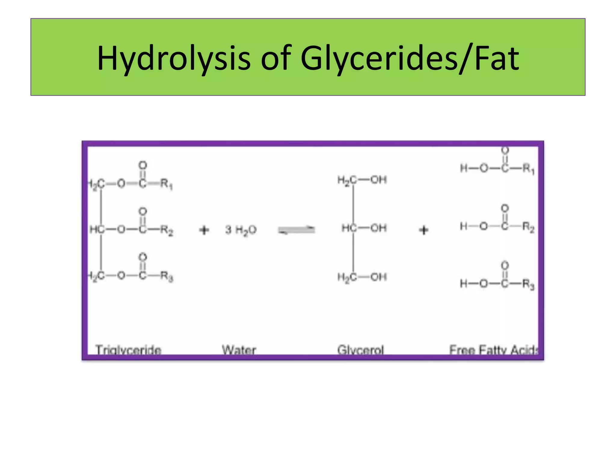 Hydrolysis of Glycerides/Fat
 