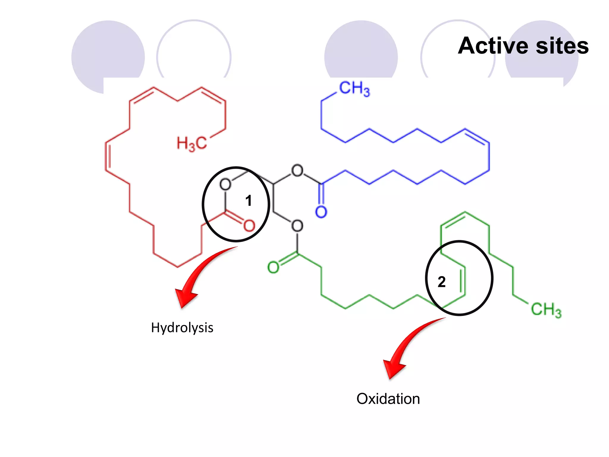 Active sites
Oxidation
Hydrolysis
1
2
 