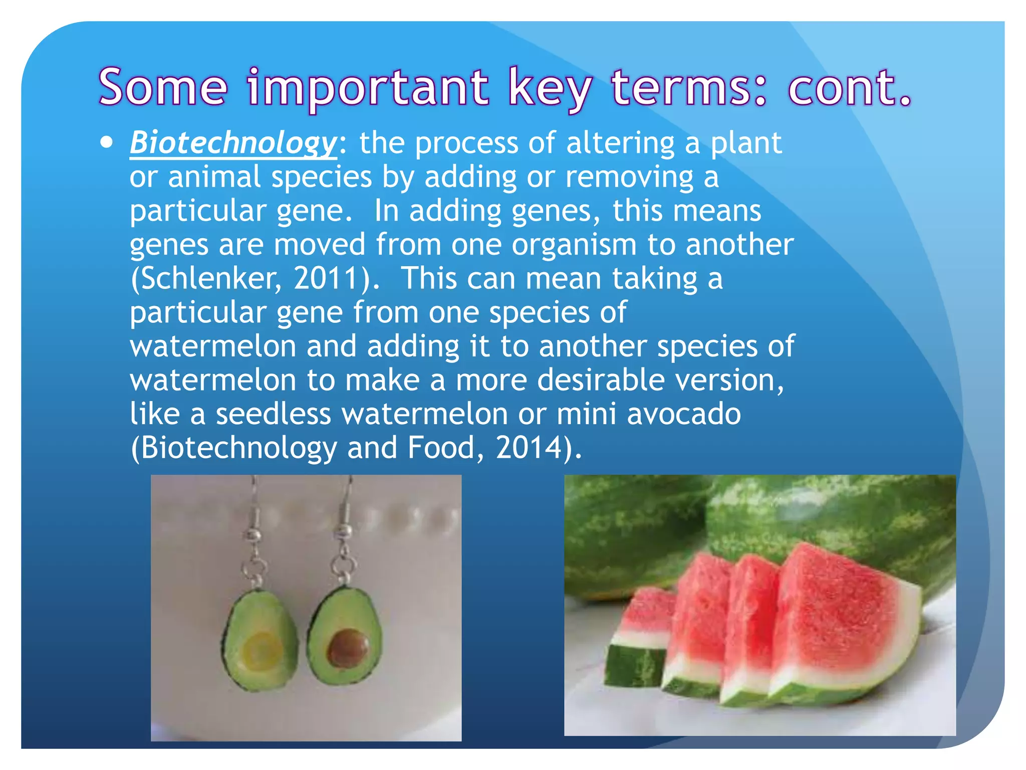  Biotechnology: the process of altering a plant
or animal species by adding or removing a
particular gene. In adding genes, this means
genes are moved from one organism to another
(Schlenker, 2011). This can mean taking a
particular gene from one species of
watermelon and adding it to another species of
watermelon to make a more desirable version,
like a seedless watermelon or mini avocado
(Biotechnology and Food, 2014).
 